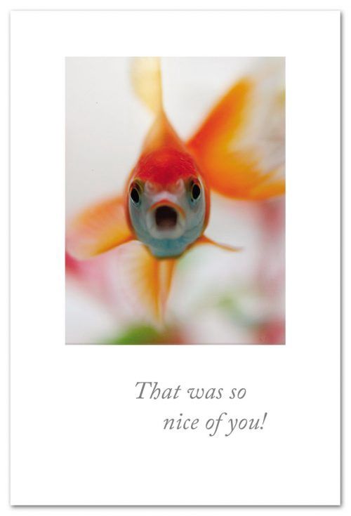card, Thank you, gobsmacked goldfish