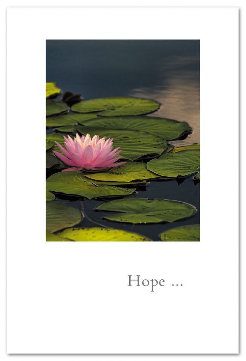 CARD, WATERLILY, support &amp; encouragement