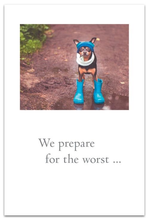 CARD, DOG IN RAIN GEAR, support &amp; encouragement