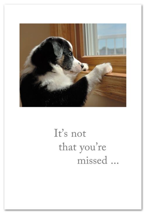 CARD, THINKING OF YOU, DOG WATCHING OUT WINDOW