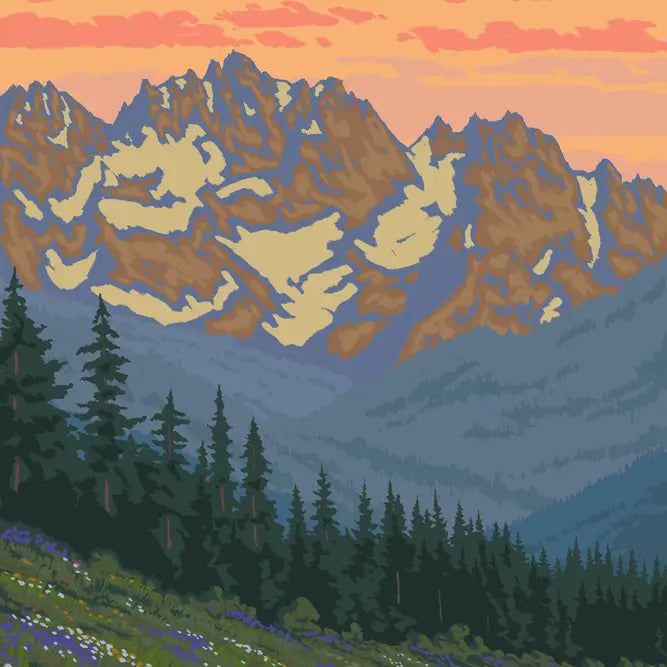 Matted Prints Olympic Peninsula, Spring Flowers-8X10X