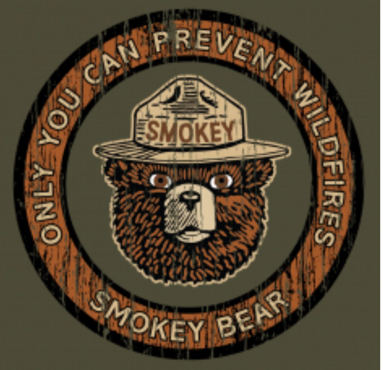 Smokey Wood Grain Circle Unisex Hoodie Sweatshirt