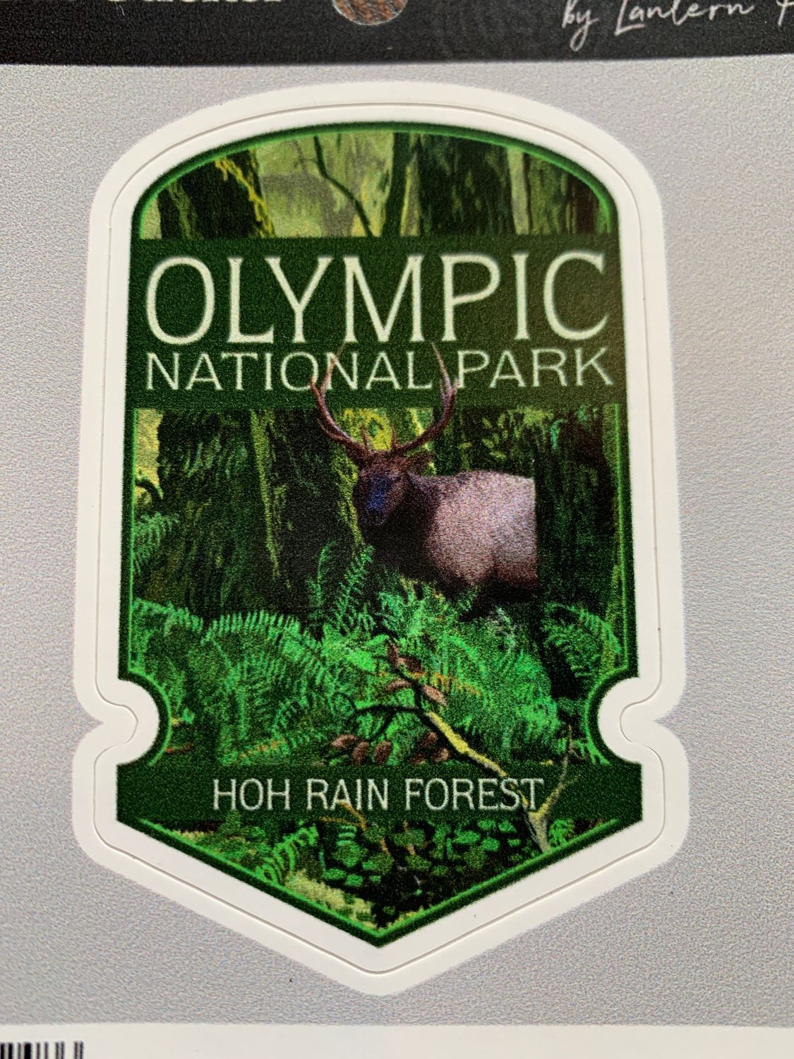 Sticker Olympic National Park, Washington, Hoh Rain Forest