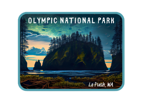 Starry Night Olympic National Park Magnet