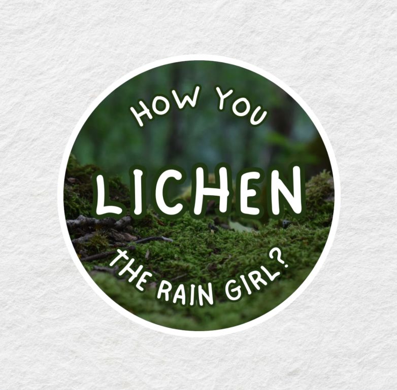 How You Lichen The Rain Girl?