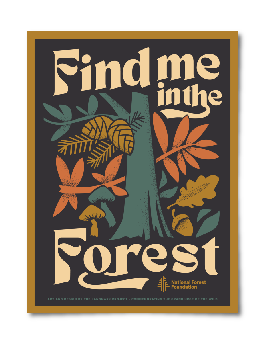 Find Me in the Forest - 12x16 Poster