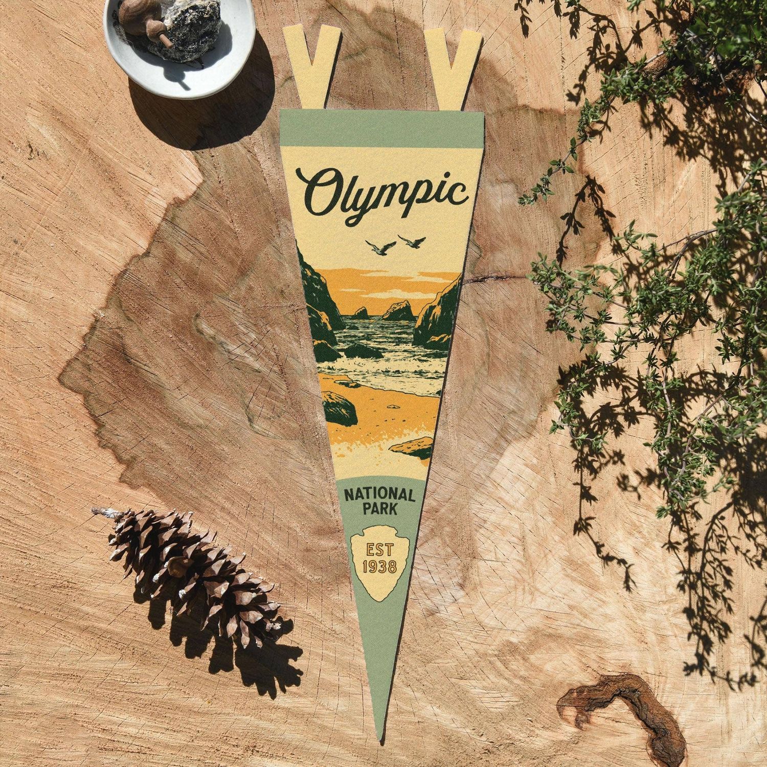 Olympic National Park Washington Felt Pennant: Mini Pennant