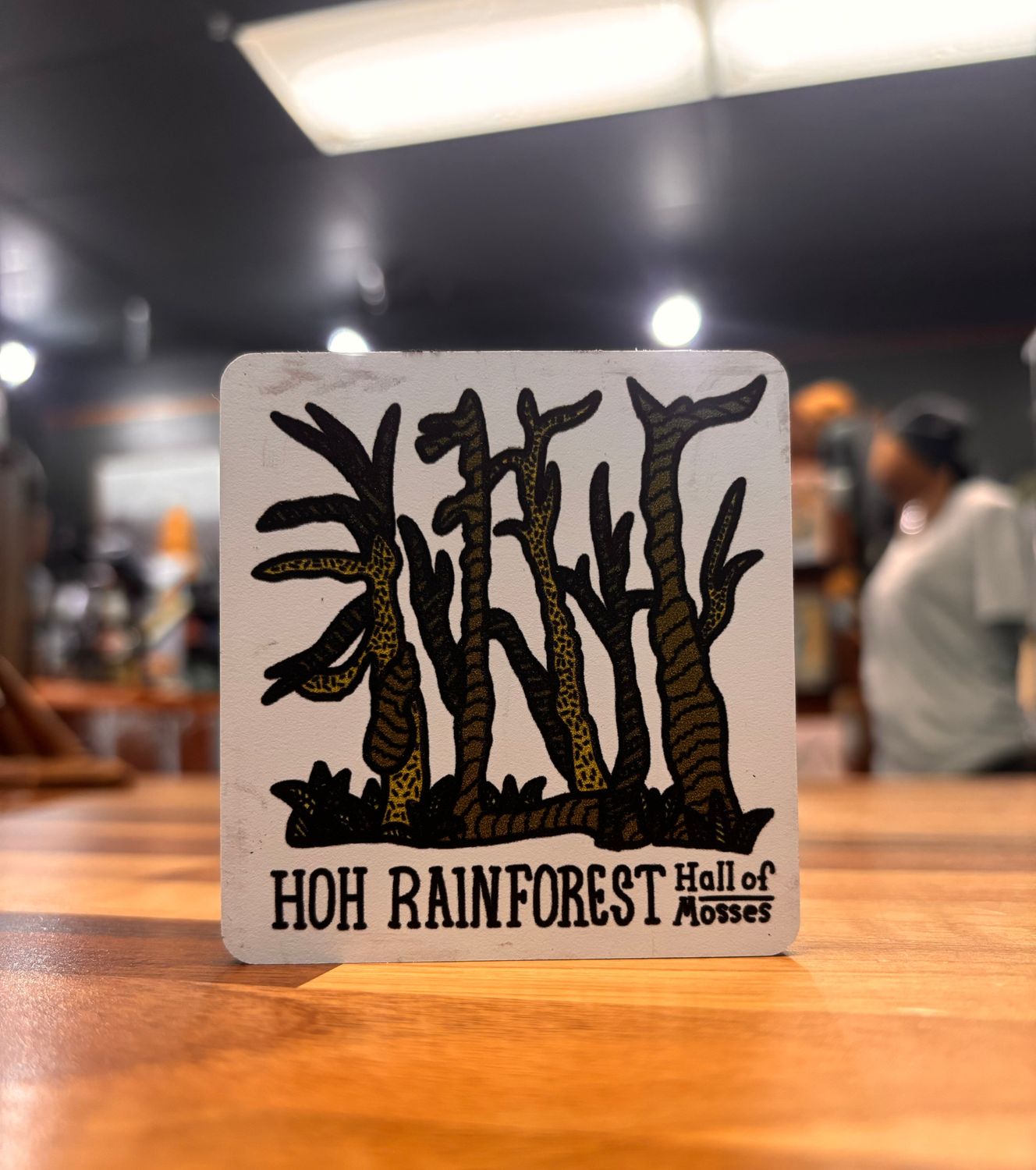HOH Rainforest Magnet