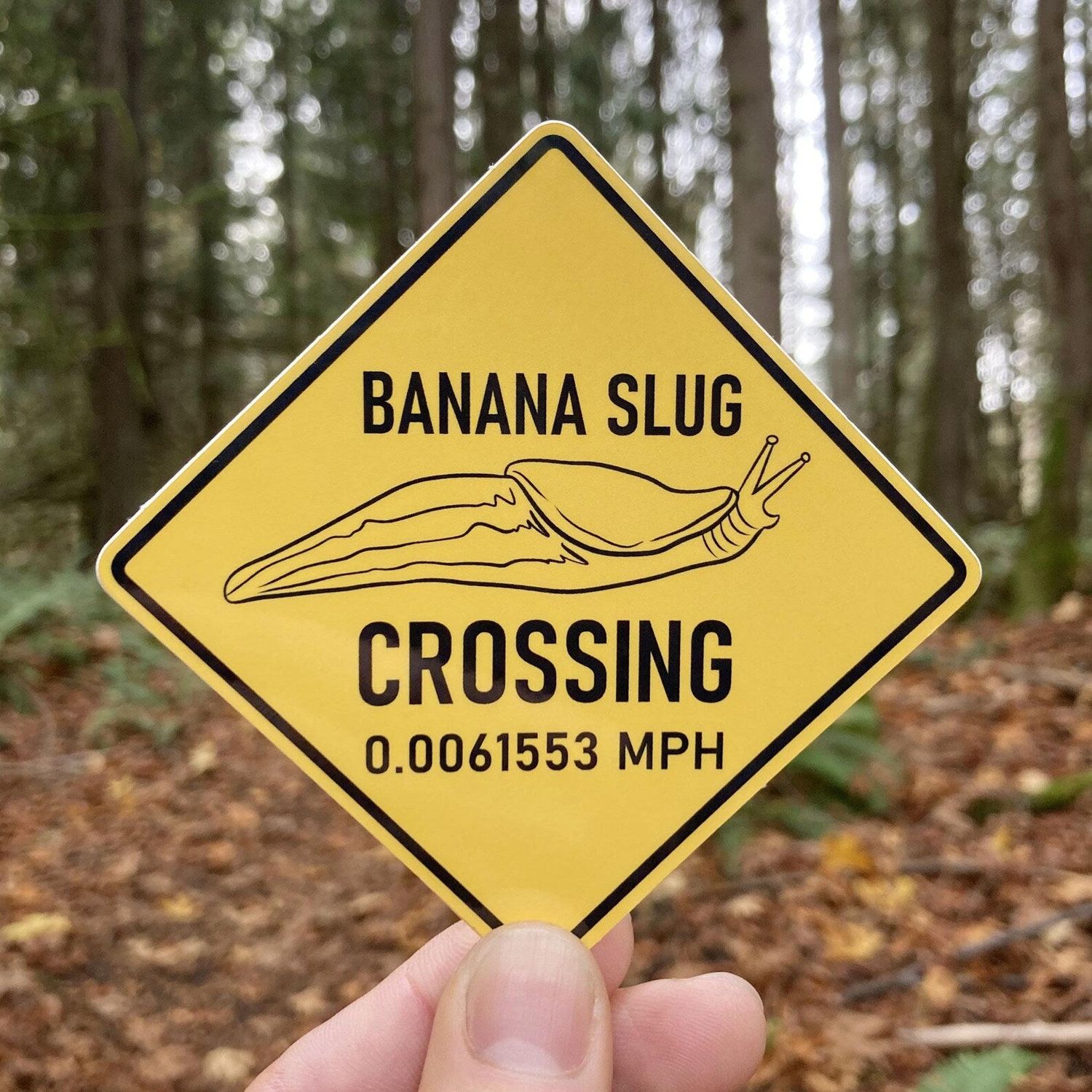Brake for Banana Slugs Crossing Sticker