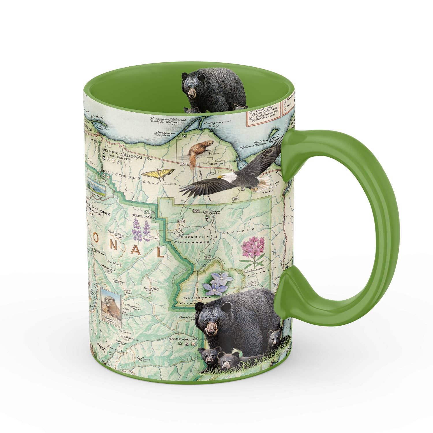 Olympic National Park Map Mug – 16 oz Ceramic, Green