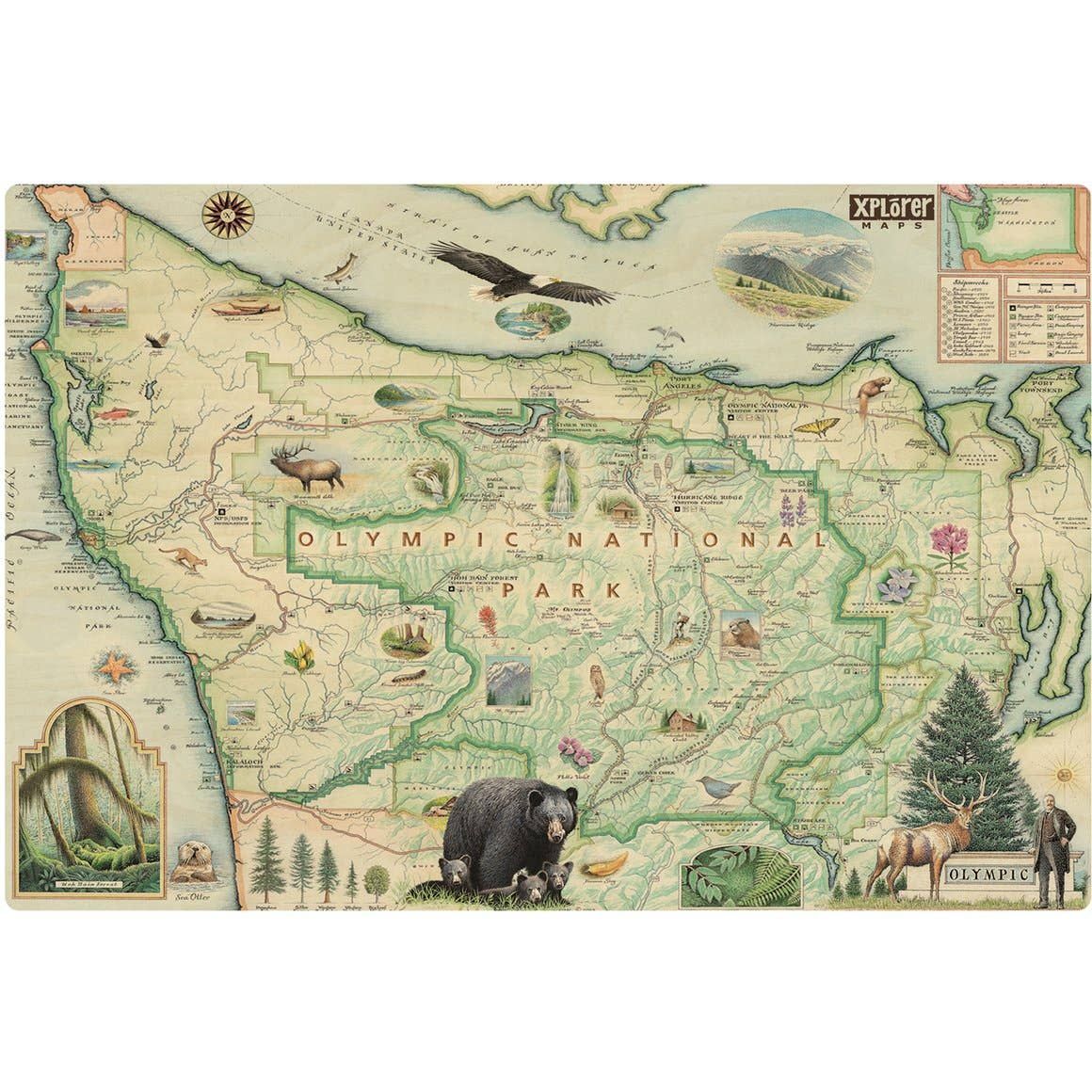 Olympic National Park Map Wood Sign