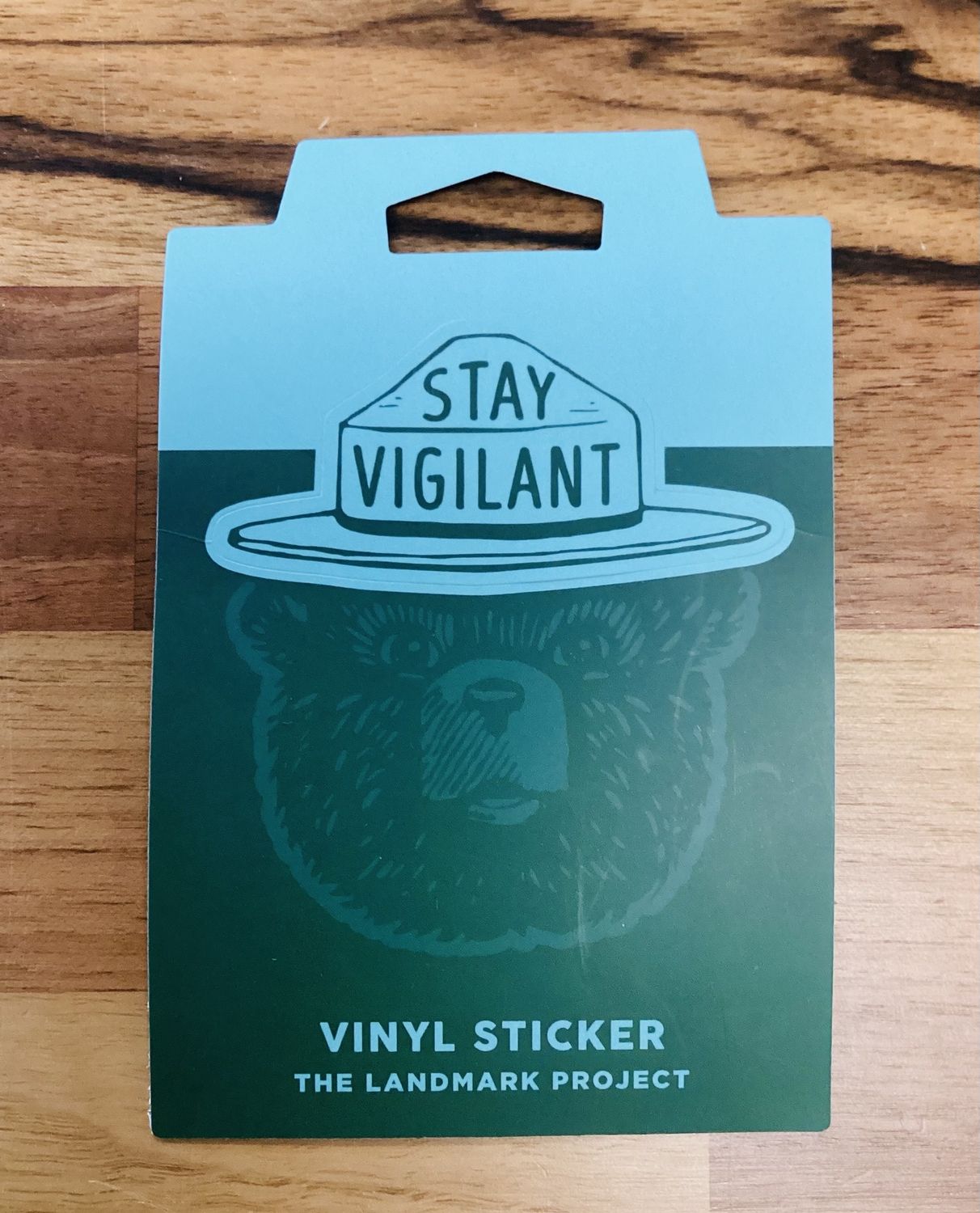 Stay Vigilant Sticker