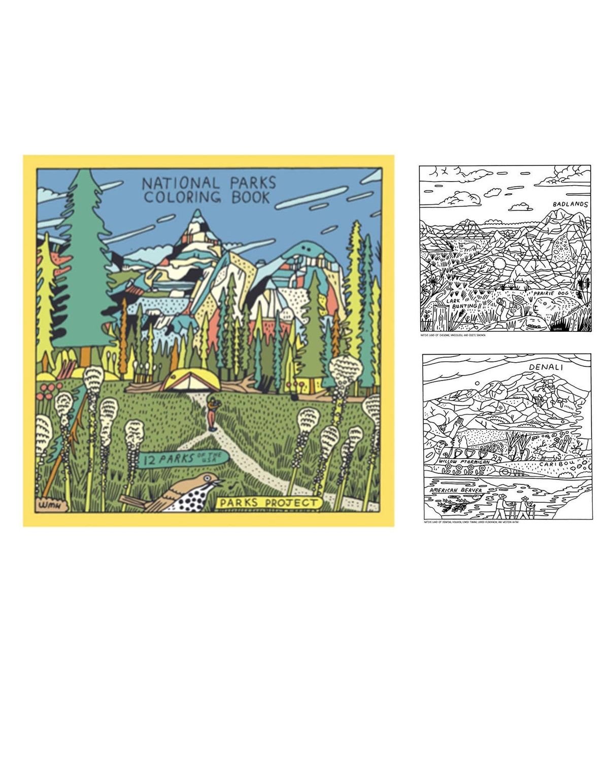 Our National Parks Coloring Book: Multi Color