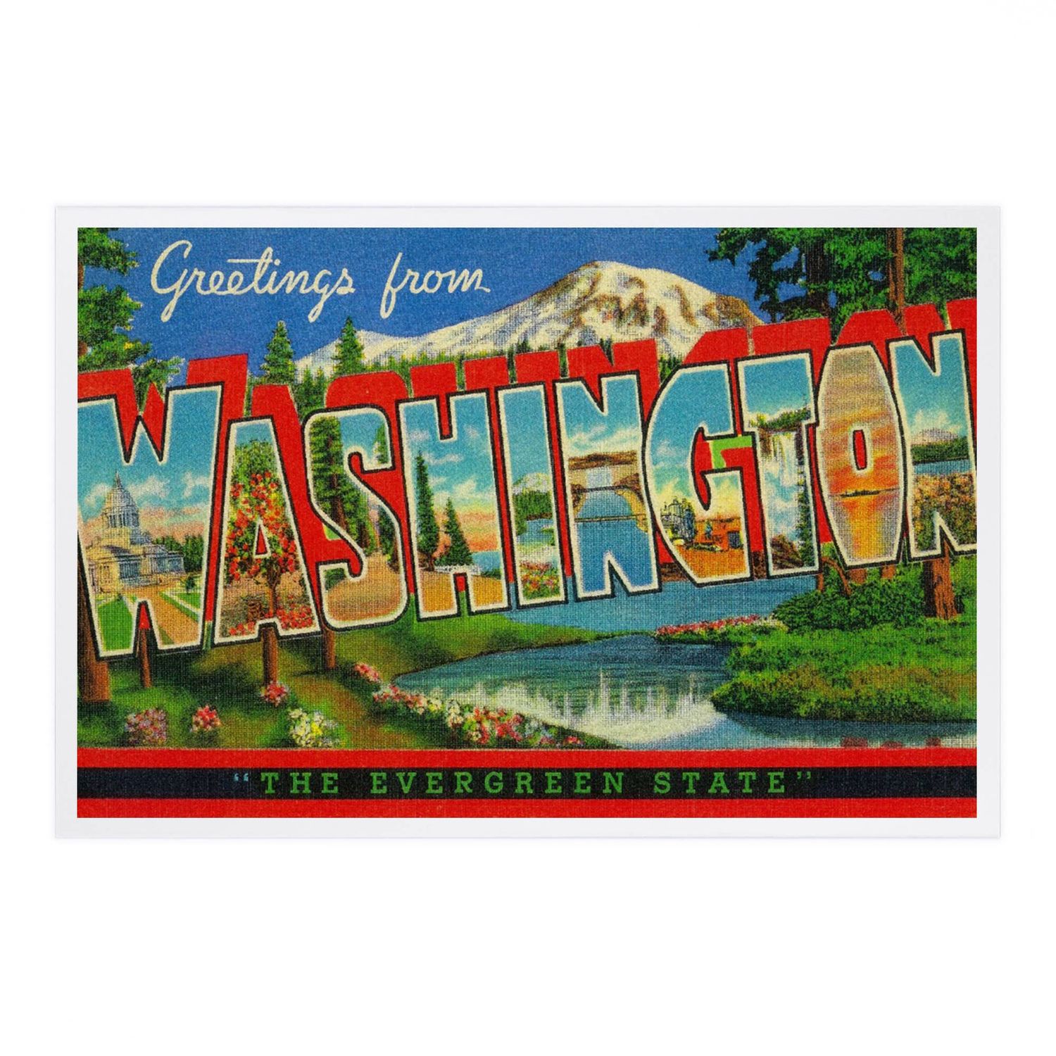 Greetings from Washington Evergreen State Premium Postcard