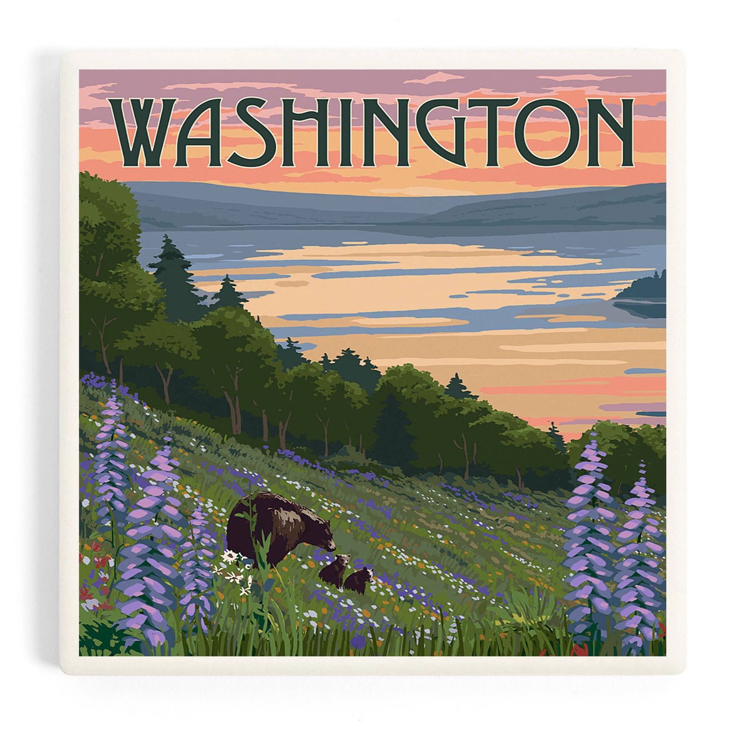 Washington, Lake &amp; Bear Coaster
