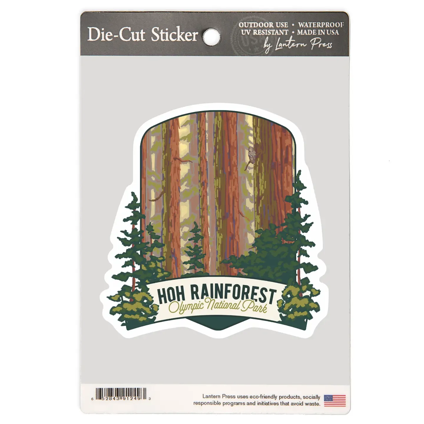Large Sticker (Hanging) Olympic National Park, Wa, Hoh Rainforest