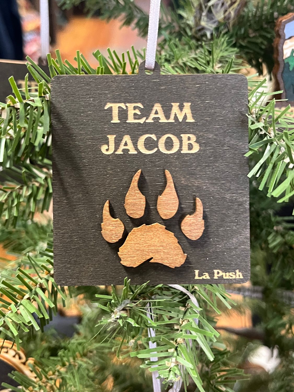 Team Jacob Ornament
