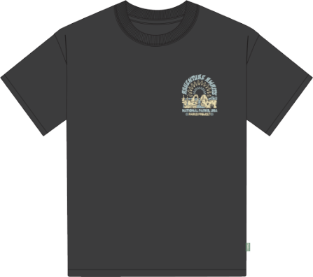 ADVENTURE AWAITS NATIONAL PARK TEE
