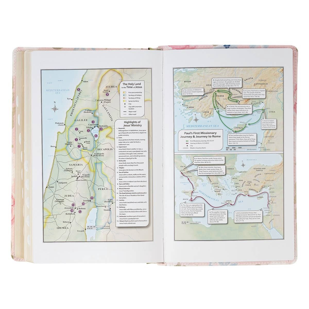 KJV Bible Giant Print Standard-size Faux Leather FloralPrint