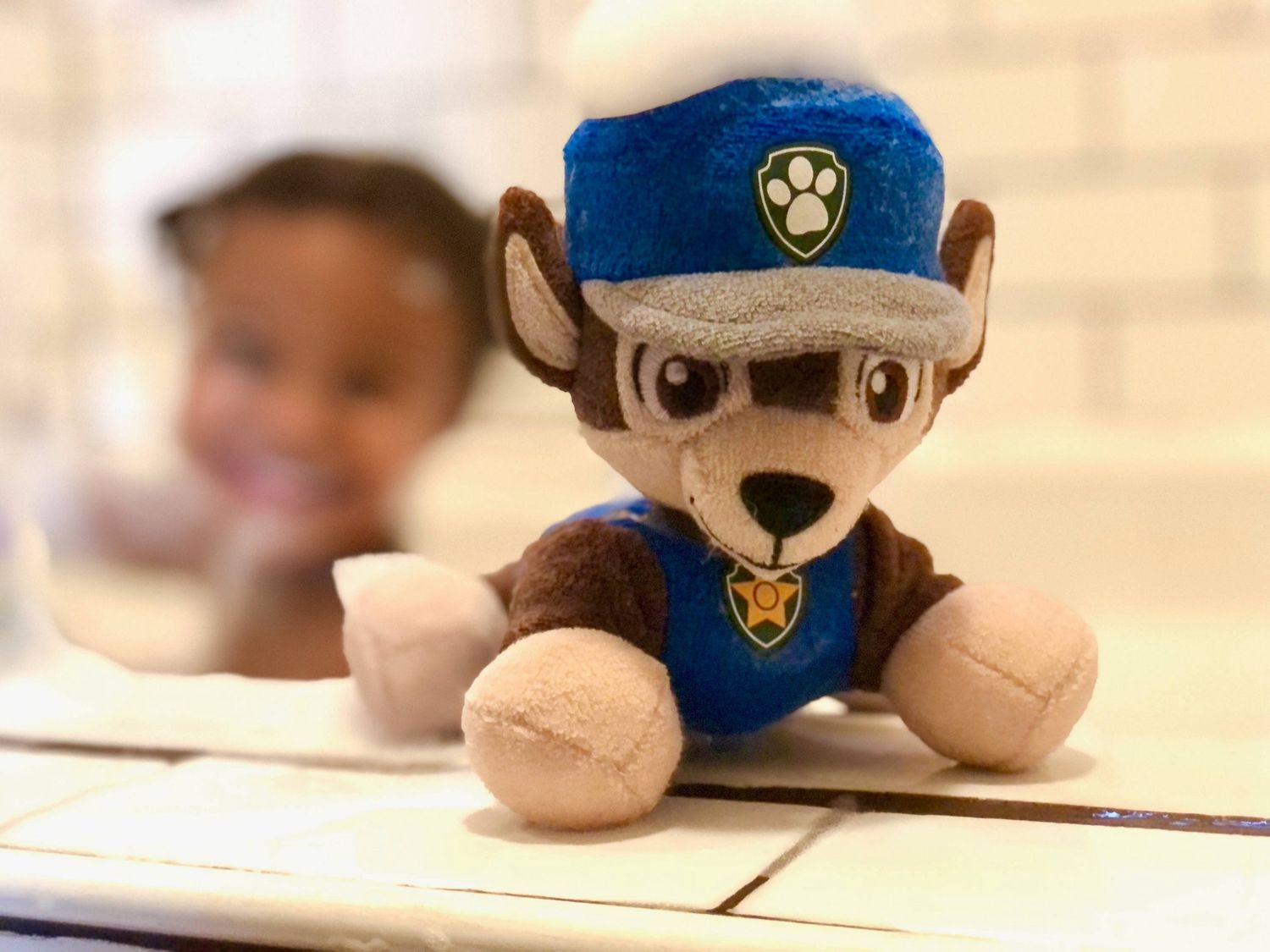 Chase (Paw Patrol SoapSox)