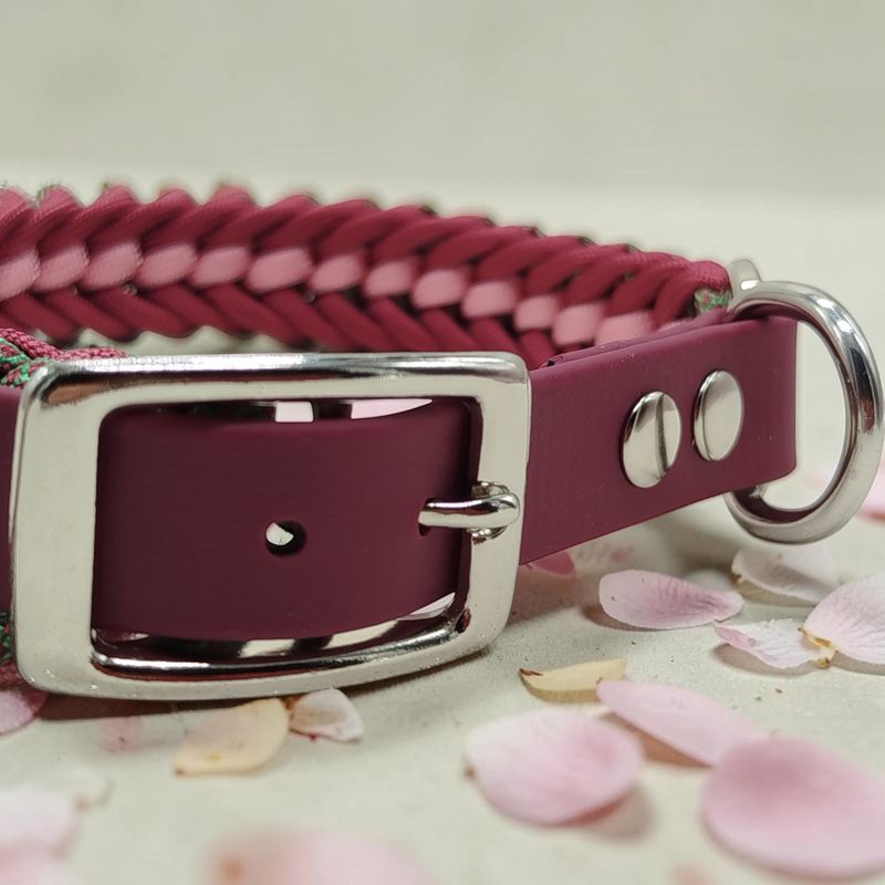 33cm Biothane Hundehalsband Paracord