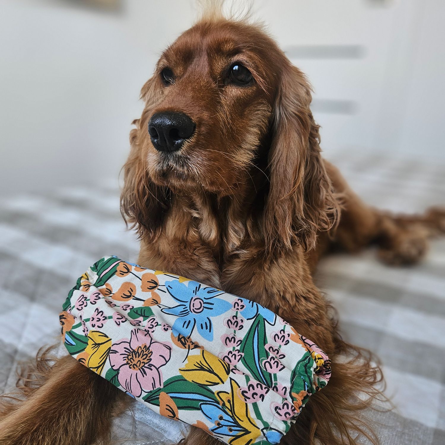 Flower Power