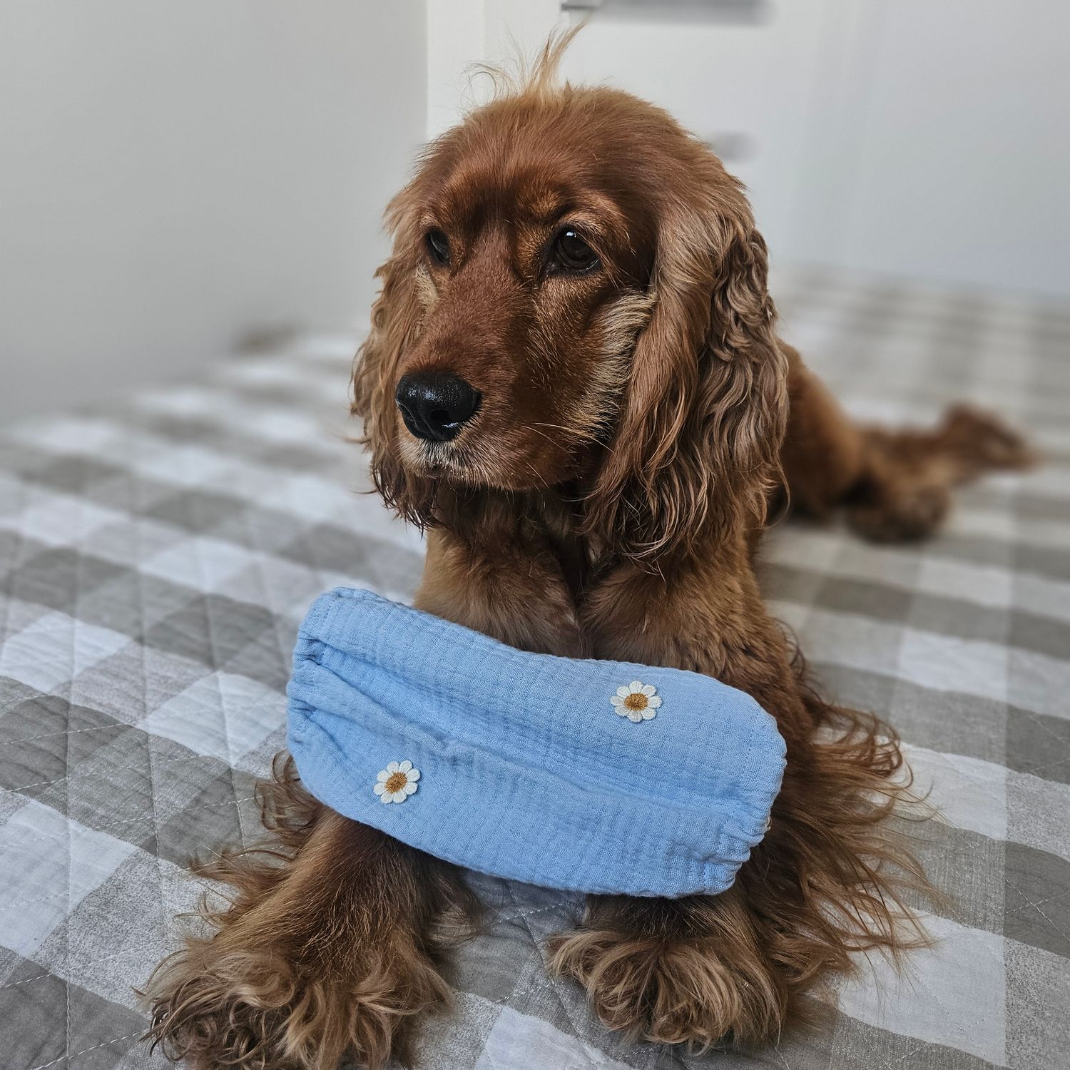 Snood w Rozkwicie: Blue Edition