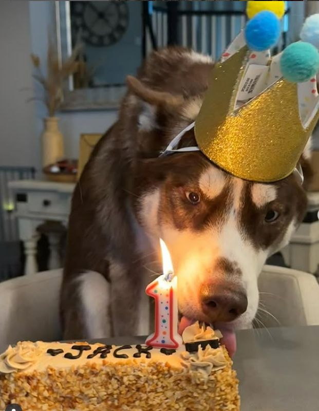 Celebration