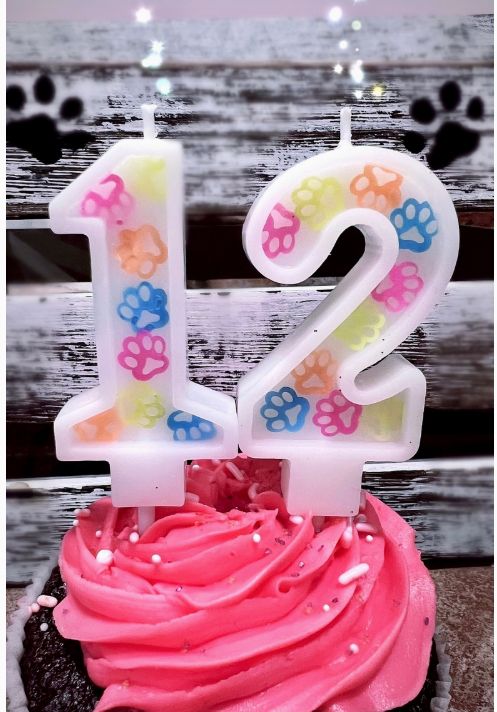 Celebration Candle (0-9)