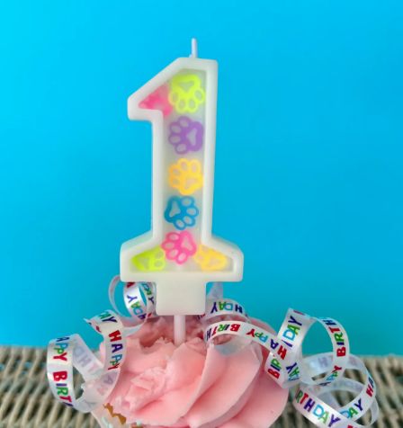 Celebration Candle (0-9), number: 1