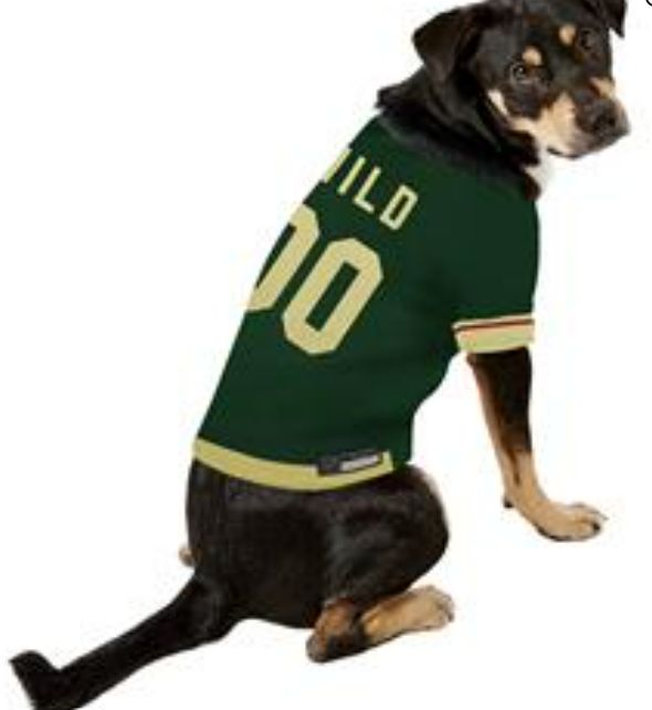 Minnesota Wild Jersey, XS