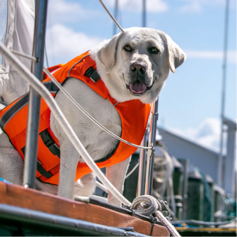 Baydog Monterey Bay Life lacket OS - Blaze ORG, M
