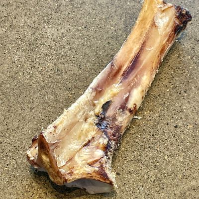 Buff Bites - 12" Marrow Bone