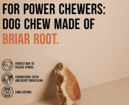 Canophera Briar Root Chew, M