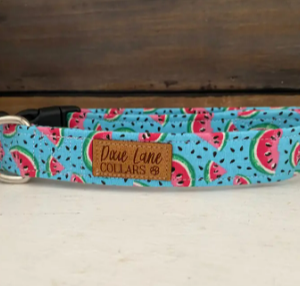 DL - Teal Watermelon, WL 1.5"