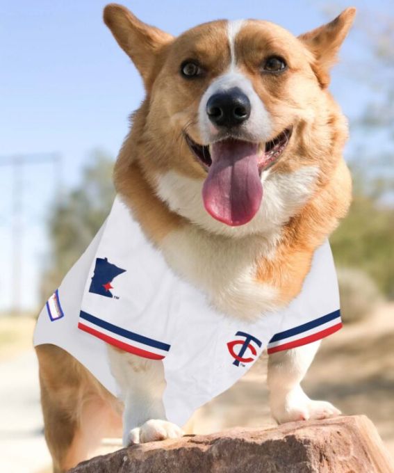 Minnesota Twins Jersey - Medium