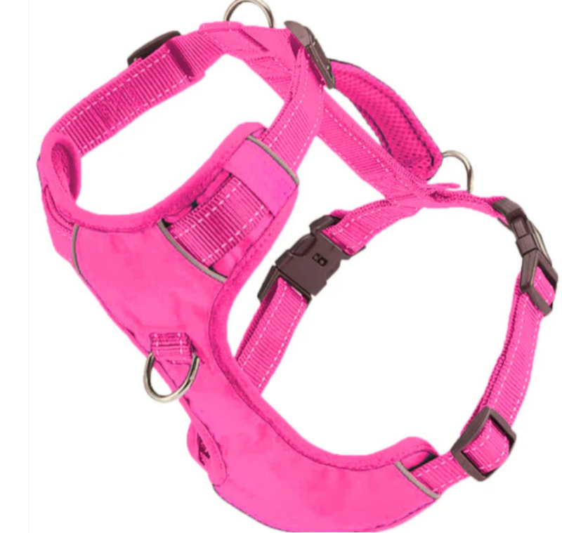 Baydog Chesapeake Harness - Sunset Pink, L