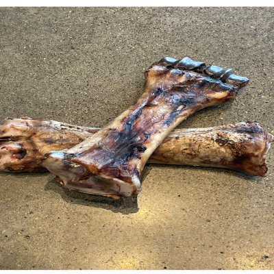 Buff Bites - Shin Bone