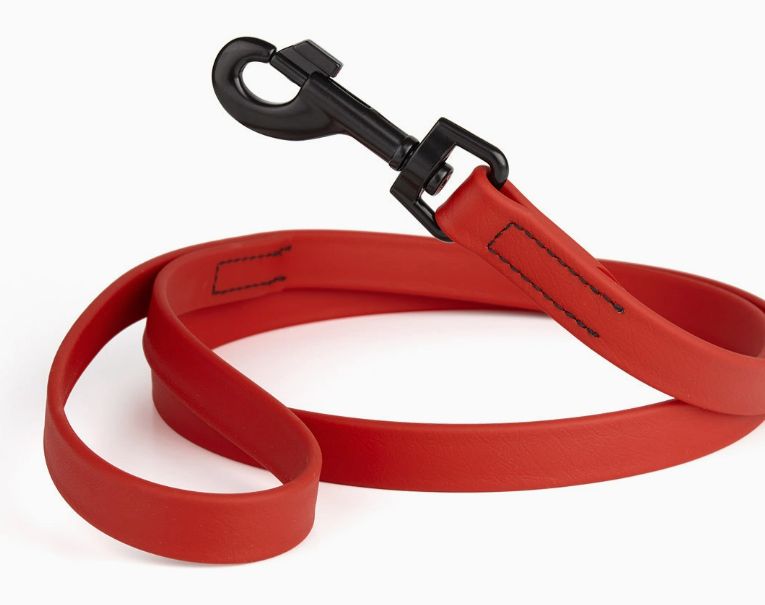 Dogline 6' Biothane Lead Cherry Red