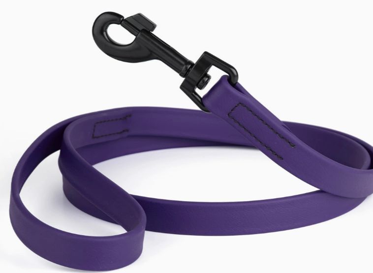 Dogline 6' Biothane Lead Violet Purple