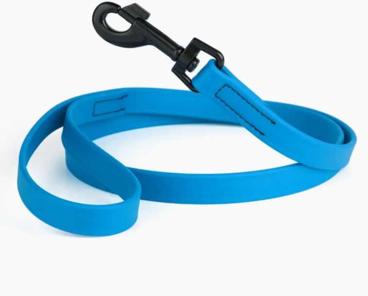 Dogline 6' Biothane Lead Cerulean Blue