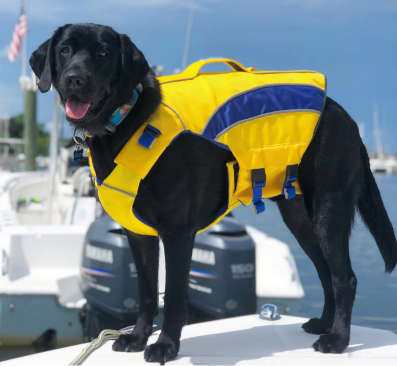 Baydog Monterey Bay Life Jacket OS - Yellow, S