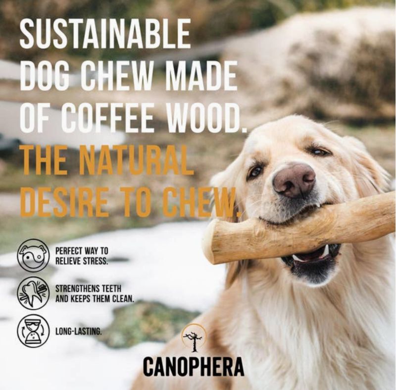 Canophera Coffee Wood Chew, XL 1.3 lbs. 11.4"