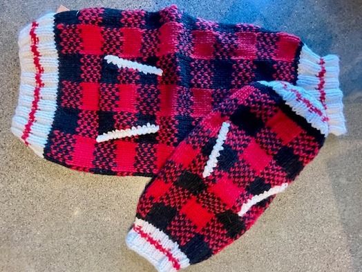 Chilly Dog - Buffalo Plaid, M