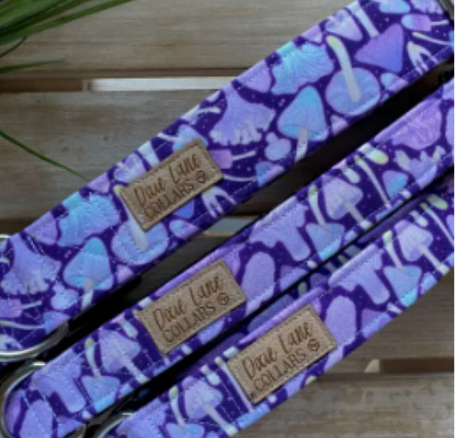 DL - Purple Mushrooms, LN 1"