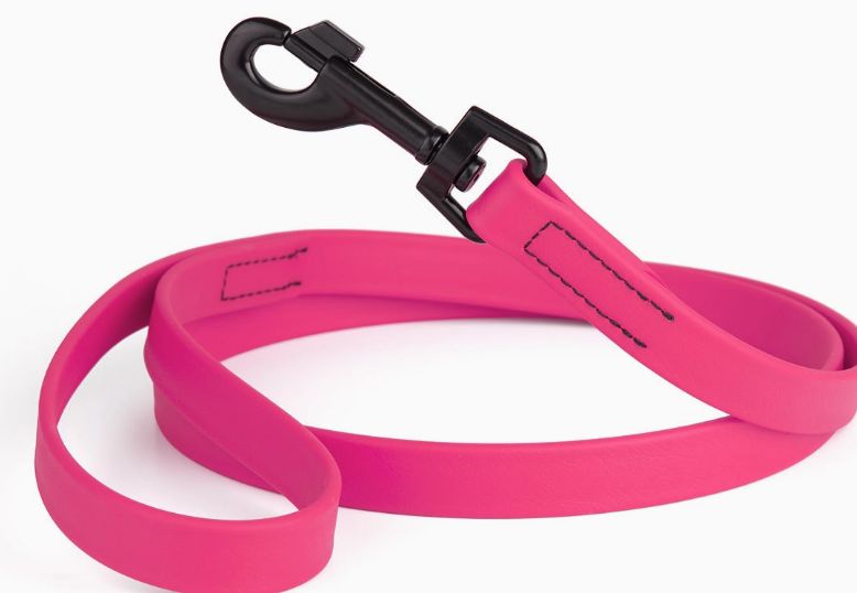 Dogline 6' Biothane Lead Passionfruit Pink