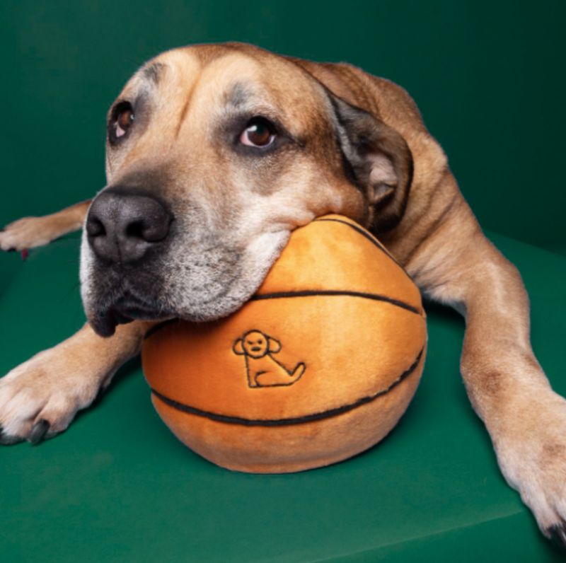 Fluff &amp; Tuff - Basketball
