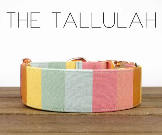 PJP - Tallulah, L 1.5"