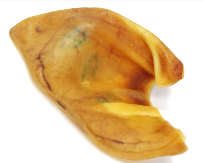 Tuesday's Pig Ears