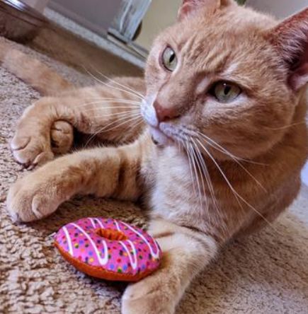 Huxley &amp; Kent Strawberry Donut catnip toy